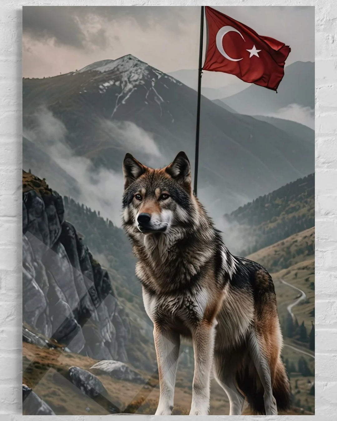 Bayrak Ve Bozkurt