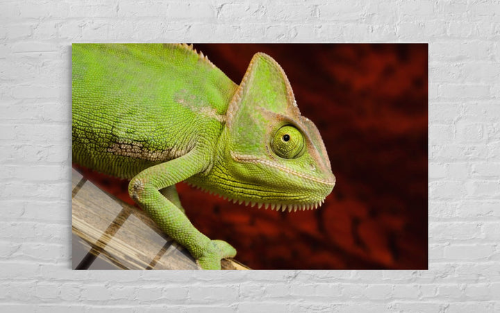 Bukalemunlu Cam Tablo