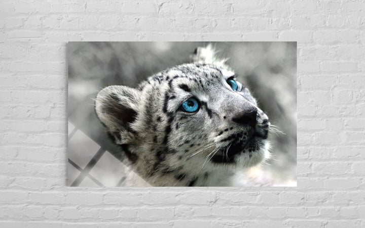 Kar Leoparlı Cam Tablo