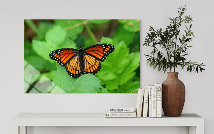 Kelebek Cam Tablo